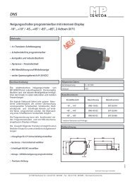 DNS - MP-SENSOR GmbH