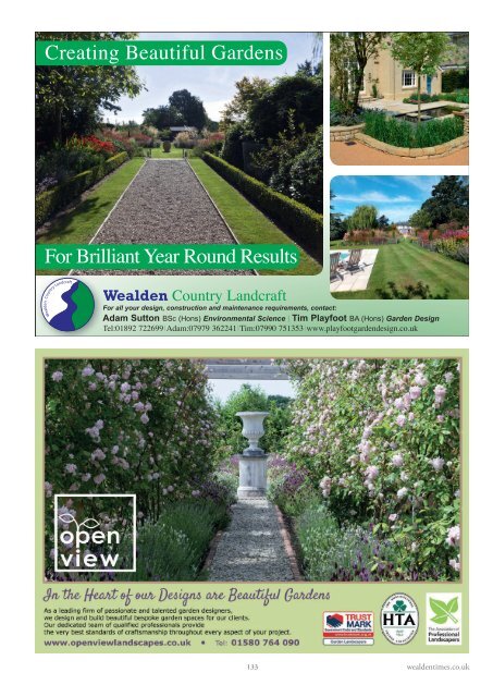 Wealden Times | WT179 |  January 2017 | Health & Beauty supplement inside