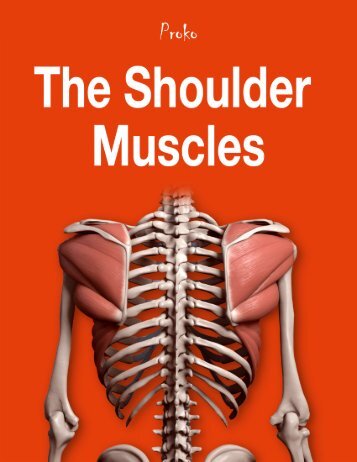 The-Shoulder-Muscles-eBook