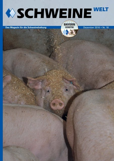 Schweine-Welt-Dez-2016-web