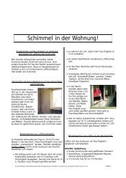 Schimmel in der Wohnung!