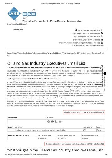 Oil and Gas Companies Professionals email list 