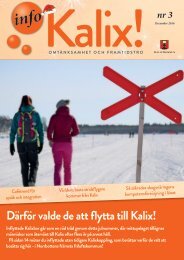 Info Kalix #3 2016