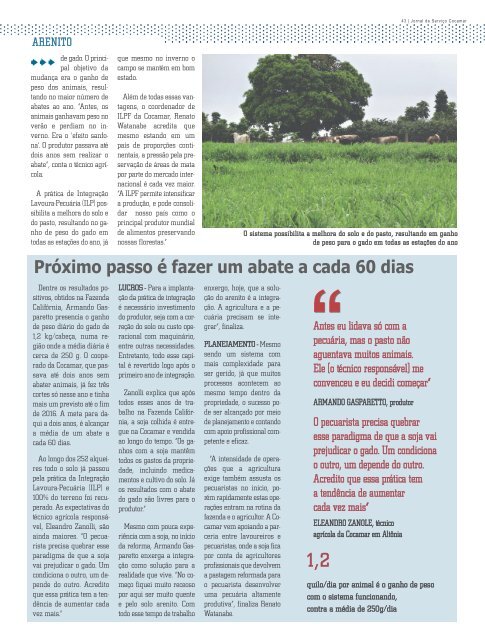 Jornal Cocamar Dezembro 2016