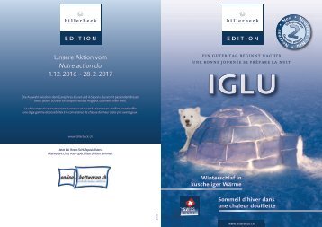 IGLU-Flyer 2016/2017