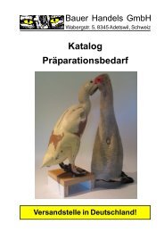 Hauptkatalog Präparationsbedarf - Bauer Handels GmbH