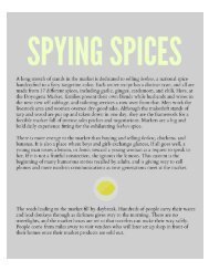 ROOTS - SPYING SPICES TEXT FINAL