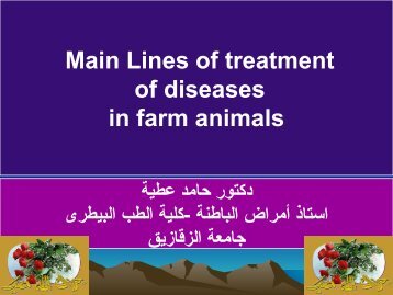 Main Lines of treatment of diseases in farm animals