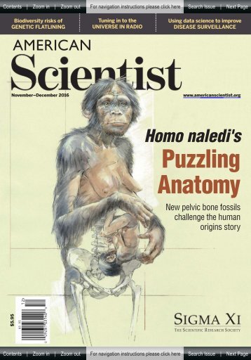 American Scientist - Puzzling Anatomy