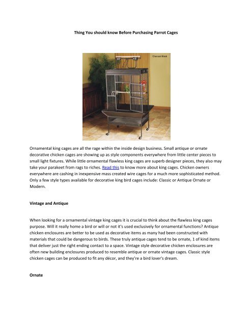 Thing You should know Before Purchasing Parrot Cages