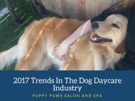 2017 Trends In The Dog Daycare Industry