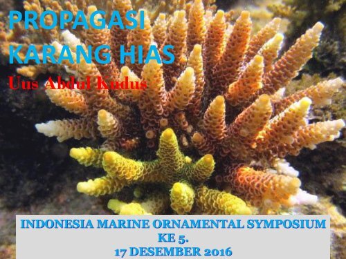 KARANG HIAS