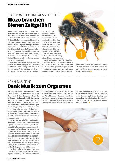 s'Positive Magazin 12.2016