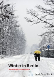 Winter in Berlin Sonderbeilage zum Winterdienst