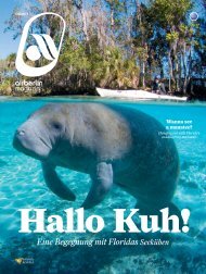 Januar 2017 airberlin magazin - Hallo Kuh!