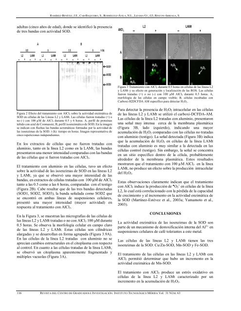 RCGI V31 N63