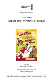 Bibi und Tina - Verhexter Reiterspaß - Vgs