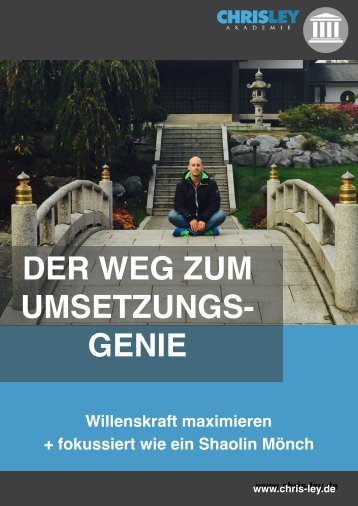 ebook_umsetzungsgenie_leseprobe