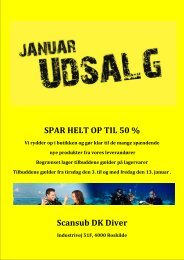 Januar udsalg