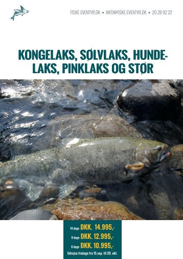 4 slags laks og Stør