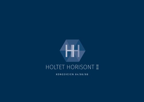 holtet horisont ii prospekt