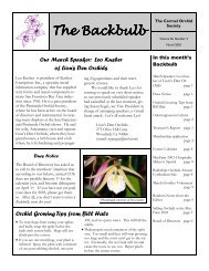 The Backbulb The Backbulb - Carmel Orchid Society