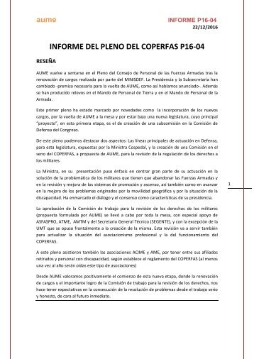 INFORME DEL PLENO DEL COPERFAS P16-04