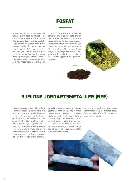 MINERALER GRØNNE SKIFTET