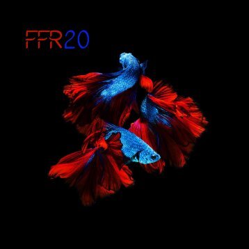 FFR 20