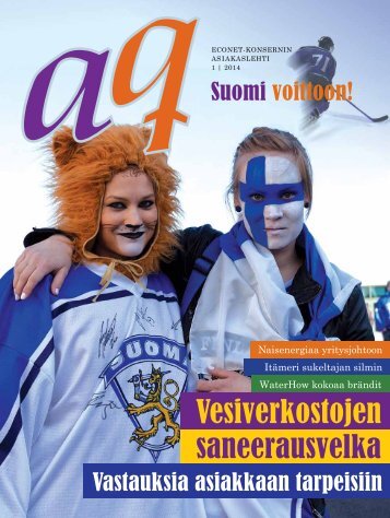 AQ 1-2014 FIN