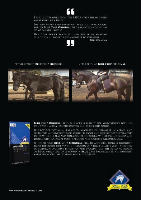 Equestrian Life December 16 - January 17