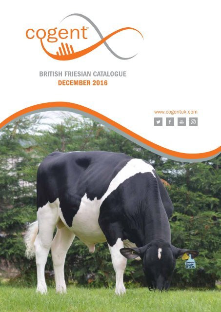 BRITISH FRIESIAN CATALOGUE DECEMBER 2016