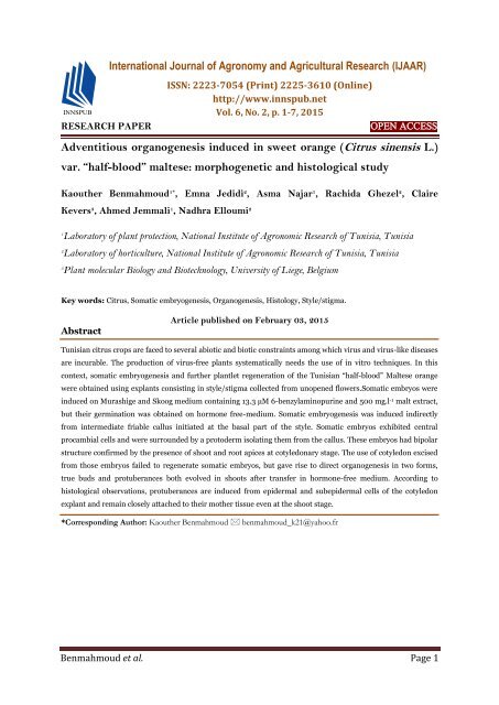 Adventitious organogenesis induced in sweet orange (Citrus sinensis L.) var. “half-blood” maltese: morphogenetic and histological study