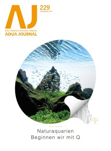 Naturaquarien - Beginnen wir mit Q