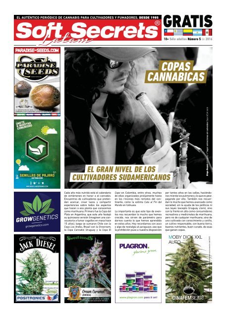  Juego de 3 pipas de tabaco – Tubos de madera hechos a mano para  tabaco y hierbas – Tubos de fumar largos 100% naturales únicos : Salud y  Hogar