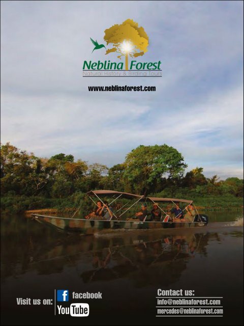 Neblina Forest Brochure 2017