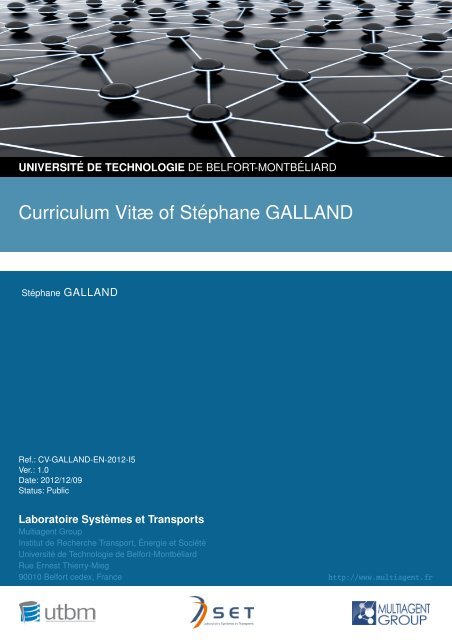 Curriculum Vitæ of St´ephane GALLAND - Multiagent Group