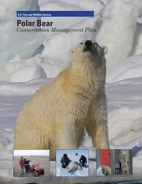 Polar Bear