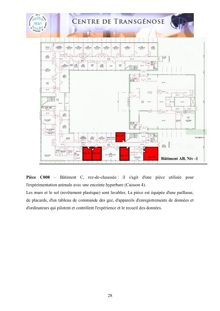 Neurophysiologie de Marseille (CRN2M) UMR6231 Equipe 2