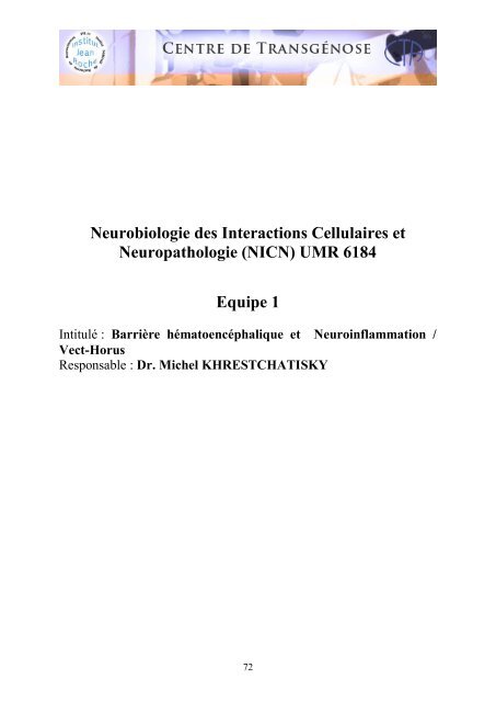 Neurophysiologie de Marseille (CRN2M) UMR6231 Equipe 2