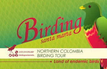 brochur birding