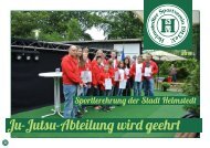 HSV-Jahresbericht 2016