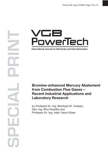 Bromine-enhanced Mercury Abatement from Combustion Flue Gases