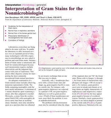 Interpretation of Gram Stains for the Nonmicrobiologist