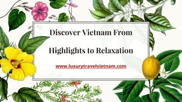 Discover Vietnam From Highlights to Relaxation