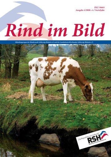Rind im Bild - Rinderzucht Schleswig-Holstein e.G.
