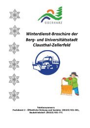 winterdienstbroschuere_2015_neues_titelblatt (1)