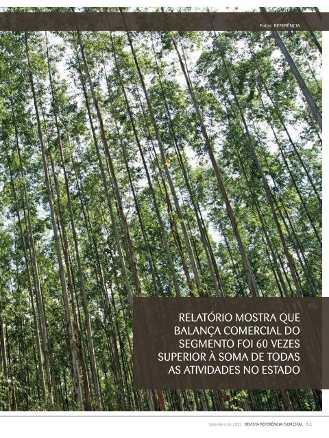 Setembro/2015 - Referência Florestal 167