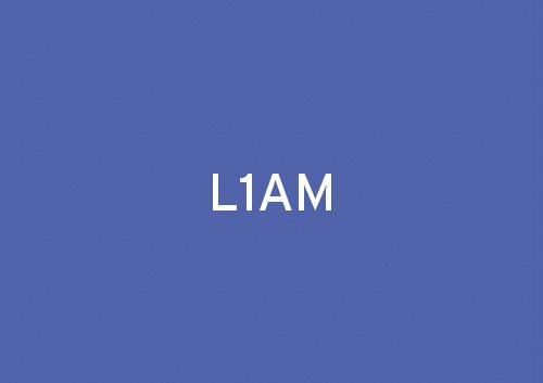 L1AM PRESENTATION