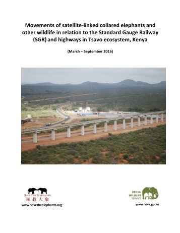 2016_SGR_Elephant_6%20month%20report-Final-web